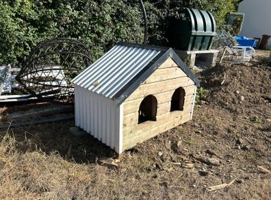 Dog House