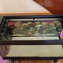 235L Tropical Aquarium (Bio 105) and Table Stand Image 6