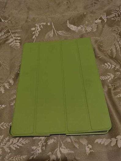 Apple iPad case