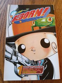 Reborn 1 Manga