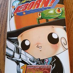 Reborn 1 Manga