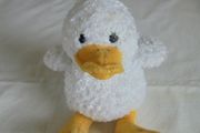 Cuddly Soft Duck for Sale