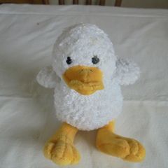 Cuddly Soft Duck for Sale
