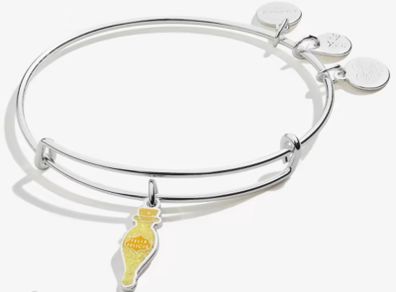 Alex and Ani Harry Potter bracelet