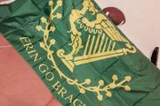 Ireland world cup Flags 90x150cm Large Irish-Themed Decorative Flag - Harp &amp; Erin Go Bragh World Cup Flag