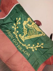 Ireland world cup Flags 90x150cm Large Irish-Themed Decorative Flag - Harp & Erin Go Bragh World Cup Flag