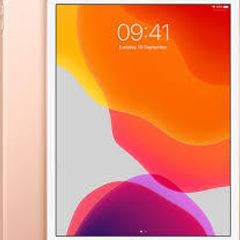 Apple iPad 7th Generation A2197 32GB (Grade C)