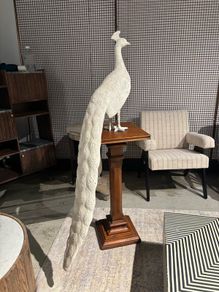 Will and I clearance Large plaster resign peacock on a mahogany stand