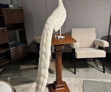 Will and I clearance Large plaster resign peacock on a mahogany stand