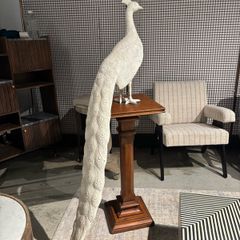 Will and I clearance Large plaster resign peacock on a mahogany stand