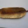 Feather dish, Display ,Trinket dish.Gold feather,Home decor Image 3
