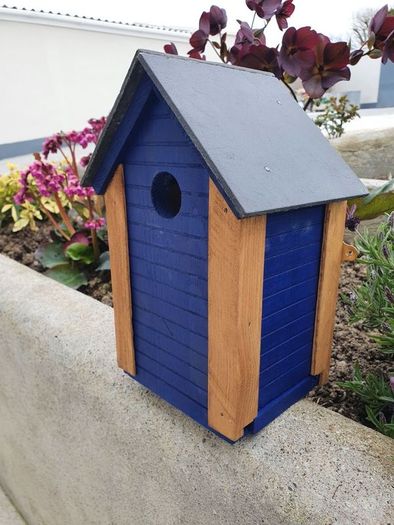 bird box