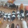 Animal figurines Image 3