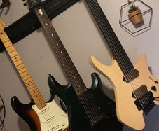 Strandberg Prog 7
