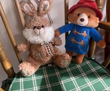 Paddington Bear & Paws patch Rabbit