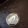 silver Image 4