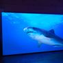 Lg Oled65g45lw.aek Tv 165.1 Cm (65") 4k Ultra Hd Smart Tv Wi-fi Silver Image 10
