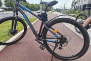 RockRider
