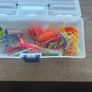 Fishing Image 6