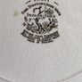 Myott Indian Tree Dinner Set. Image 7