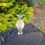 Clear grappe pitcher postage possible Image 2