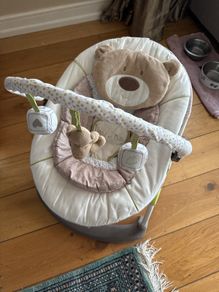 baby bouncer and tummy time teddy