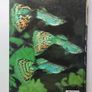 Tropical Fish and Aquarium Books Image 6