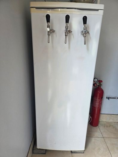 3 Tap Kegerator