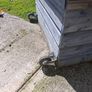 rabbit hutch Image 3