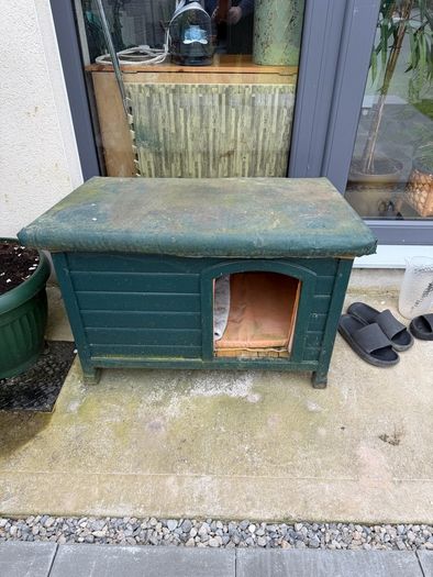 Dog House