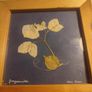 Set 2 Vintage Authentic Botanical Press Flowers Framed Wall Folk Art Image 2