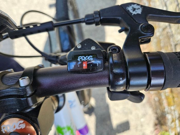 Kids Bike Frog 44
