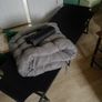 new sun lounger plus new cussion Image 4