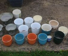 Ceramic plant pots