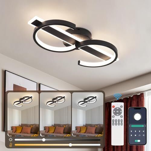 Modern Ceiling Lights LED, 45cm Black Dimmable Ceiling Lights Fixtures LED with Remote Control for Living Room Dining Room Bedroom Kitchen Hallway Offcie Indoor Light - 35W