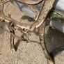 2 sets of garden bench ends Image 3