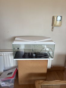 Fish Tank