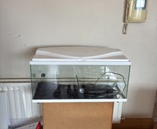 Fish Tank