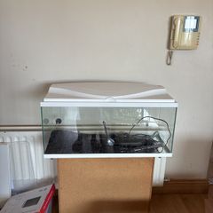Fish Tank