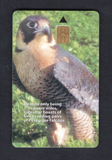 2001 Gibraltar 25 unit War Peregrine Eagle (Siemens - S5 (Module 33)) Phonecard