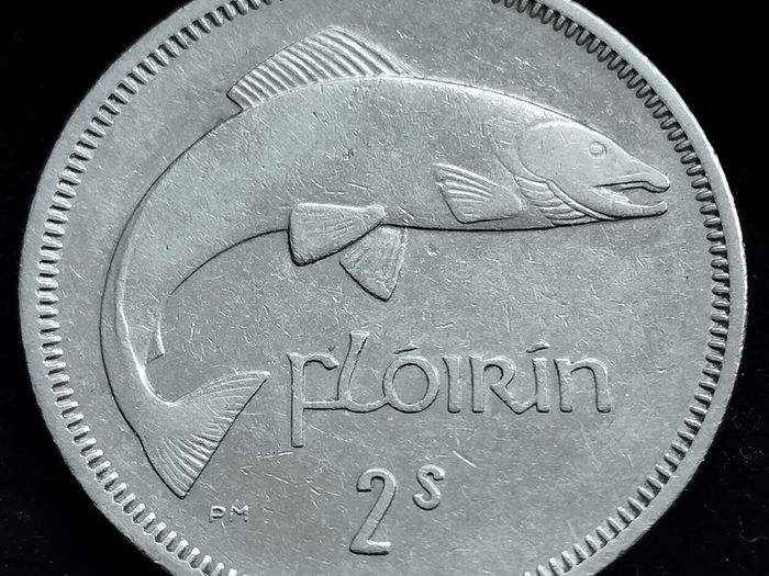 Ireland - 1966 - Florin - Salmon - KM.15a - [2464]