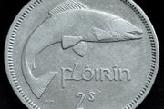 Ireland - 1966 - Florin - Salmon - KM.15a - [2464]