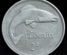 Ireland - 1966 - Florin - Salmon - KM.15a - [2464]
