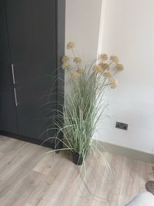 Rushes plant fake indoors