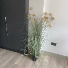 Rushes plant fake indoors