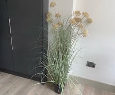 Rushes plant fake indoors