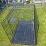 large dog crate Image 3