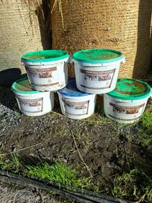 cattle mineral buckets /licks