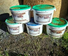 cattle mineral buckets /licks