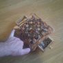 coins Image 5